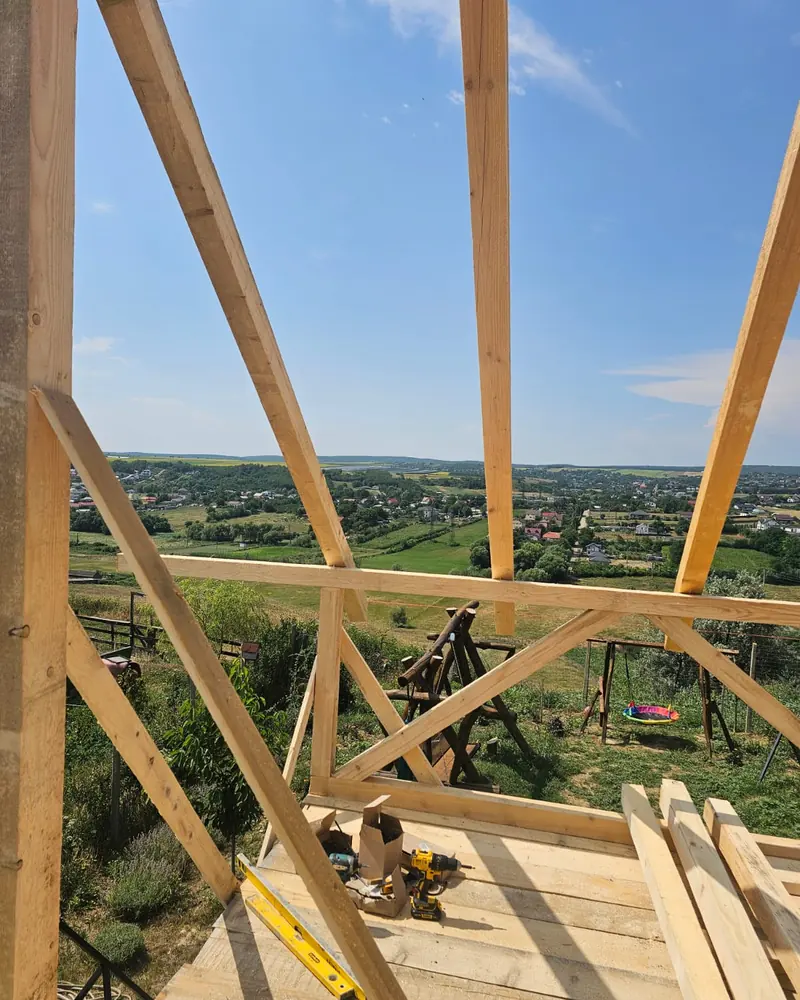 Ferme de lemn pe o podină, cu satul în vale